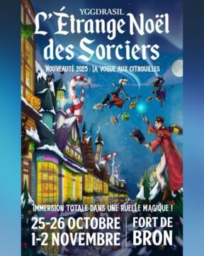 l’Etrange Noël des Sorciers