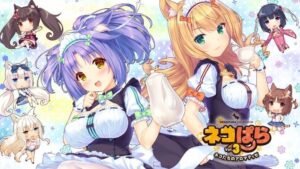 Nekopara Vol. 3