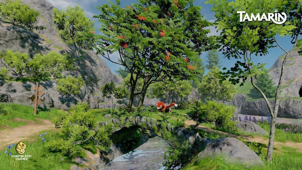 Tamarin
