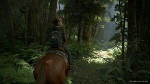The Last of Us Part II - Cheval