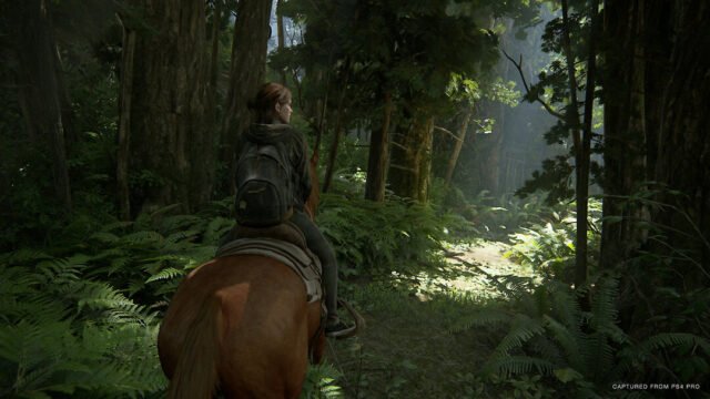 The Last of Us Part II - Cheval