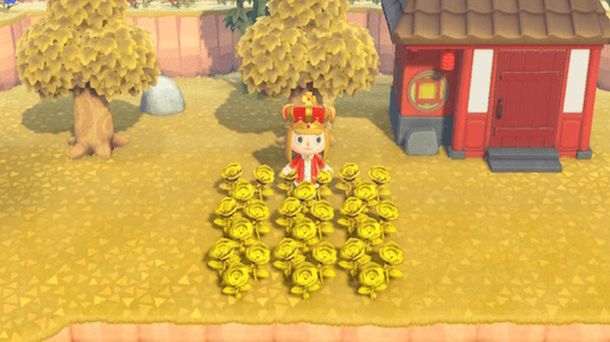 Roses dorées Animal Crossing