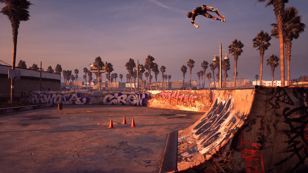 tony hawk's