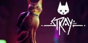 Stray Chat