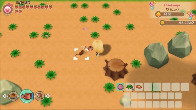 mini guide sotry of seasons chien animal de compagnie
