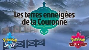 Les terres enneigées Pokémon