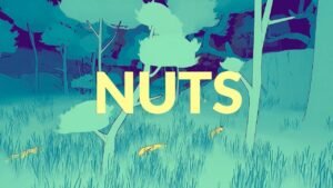 A surveillance Mystery NUTS