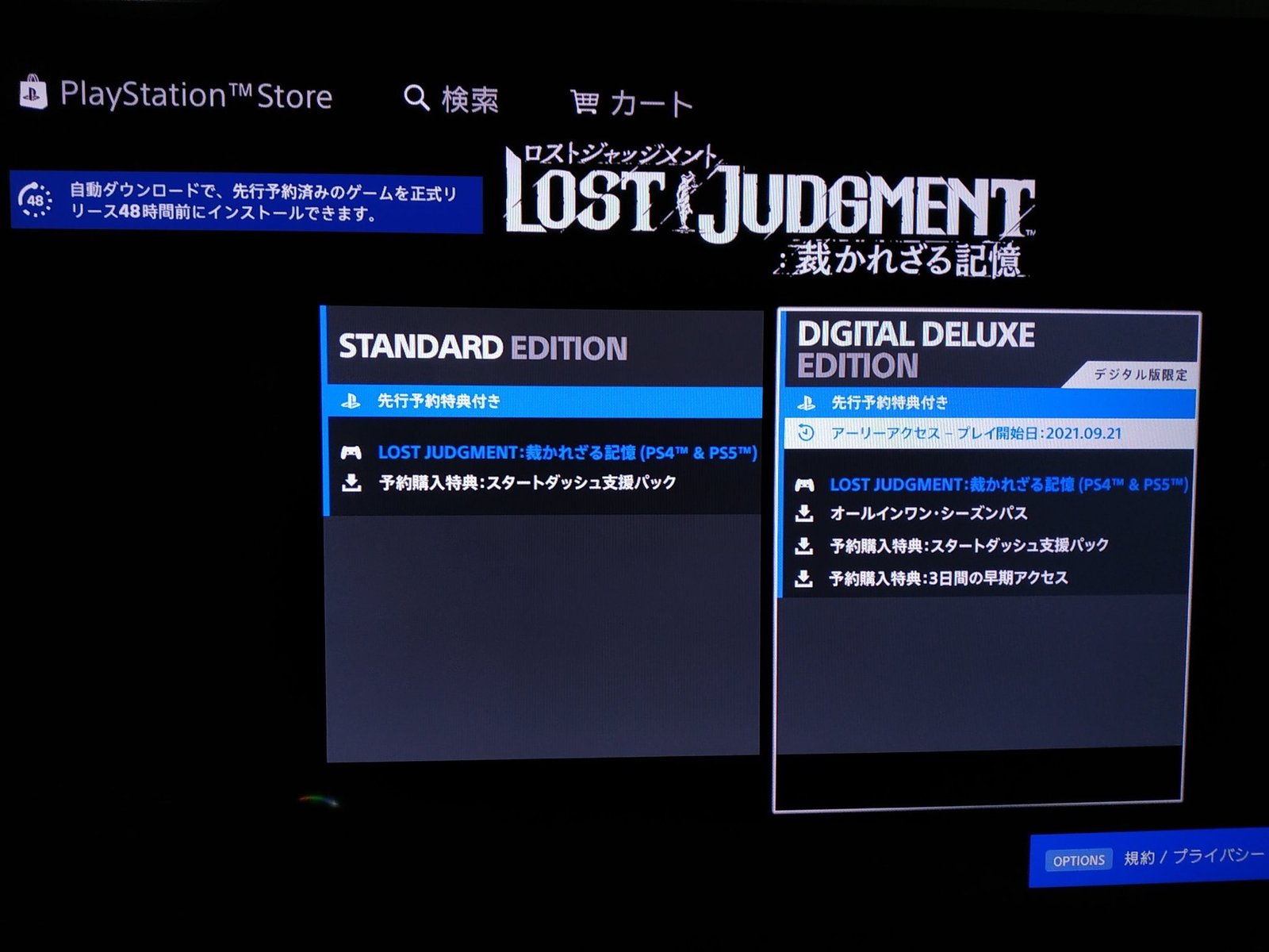 Lost Judgment: Unjudged Memory