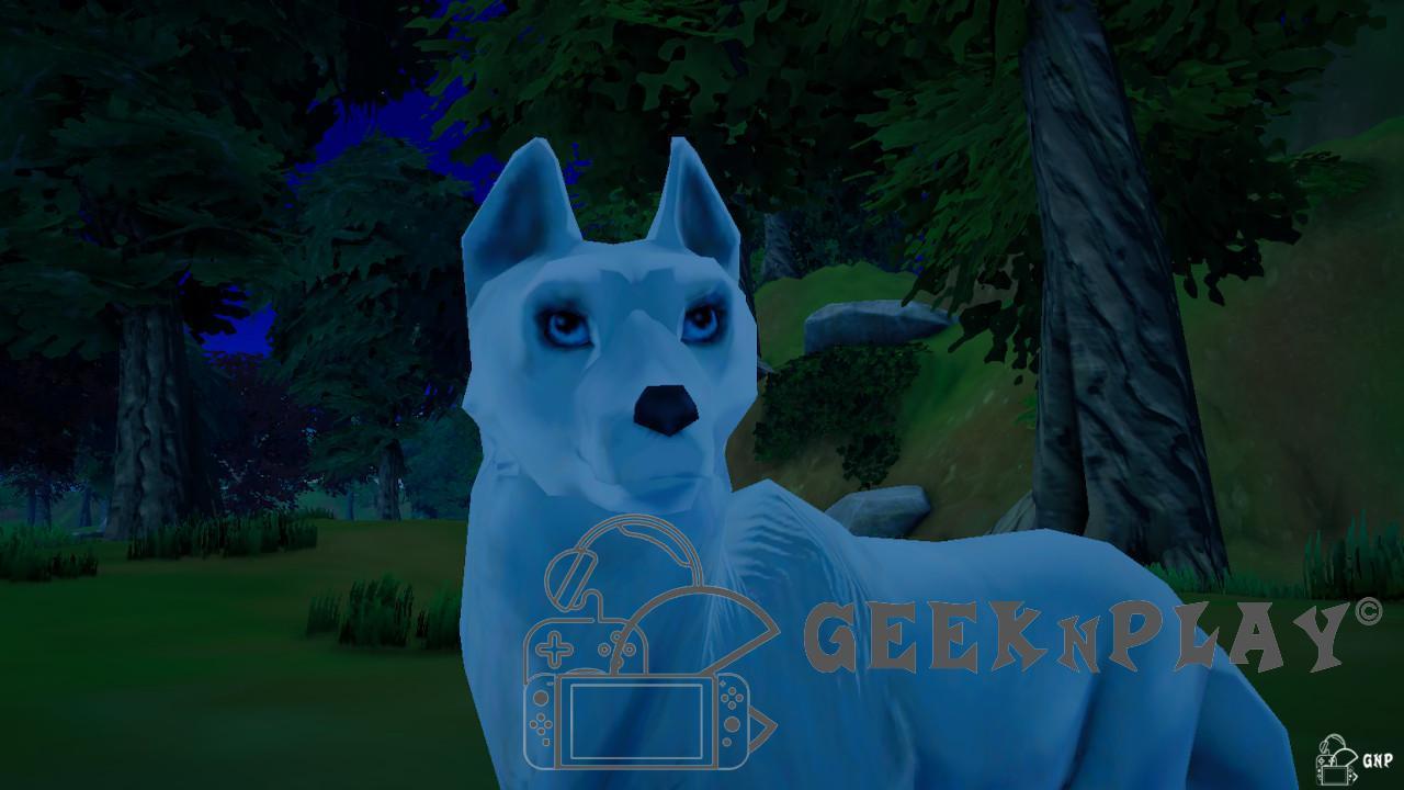 Test Spirit Lucky's Big Adventure