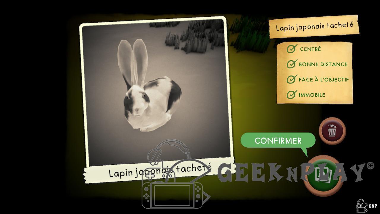 Test Spirit Lucky's Big Adventure