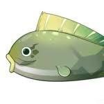 Genshin Impact poisson