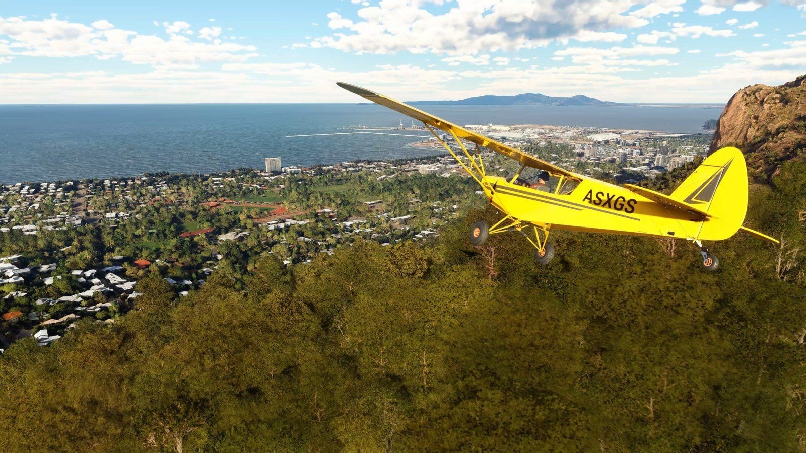 microsoft Flight Simulator