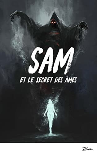 Sam et le secret des âmes