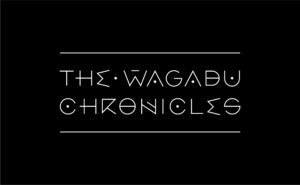 Wagadu Chronicles