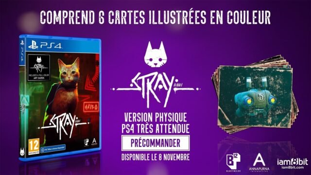 Stray