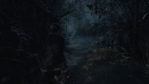 Test Resident Evil 4 (3)
