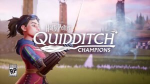Harry Potter : Champions de Quidditch