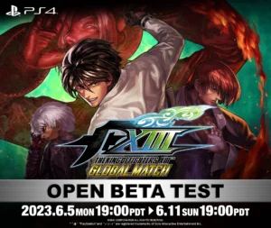 King Of Fighters XIII GM