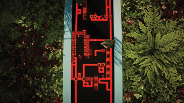 The Forest Cathedral Screen