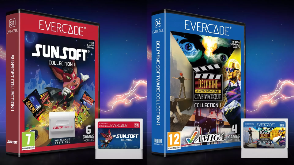 Sunsoft Delphine Software