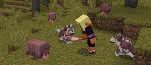 Minecraft tatous et loups