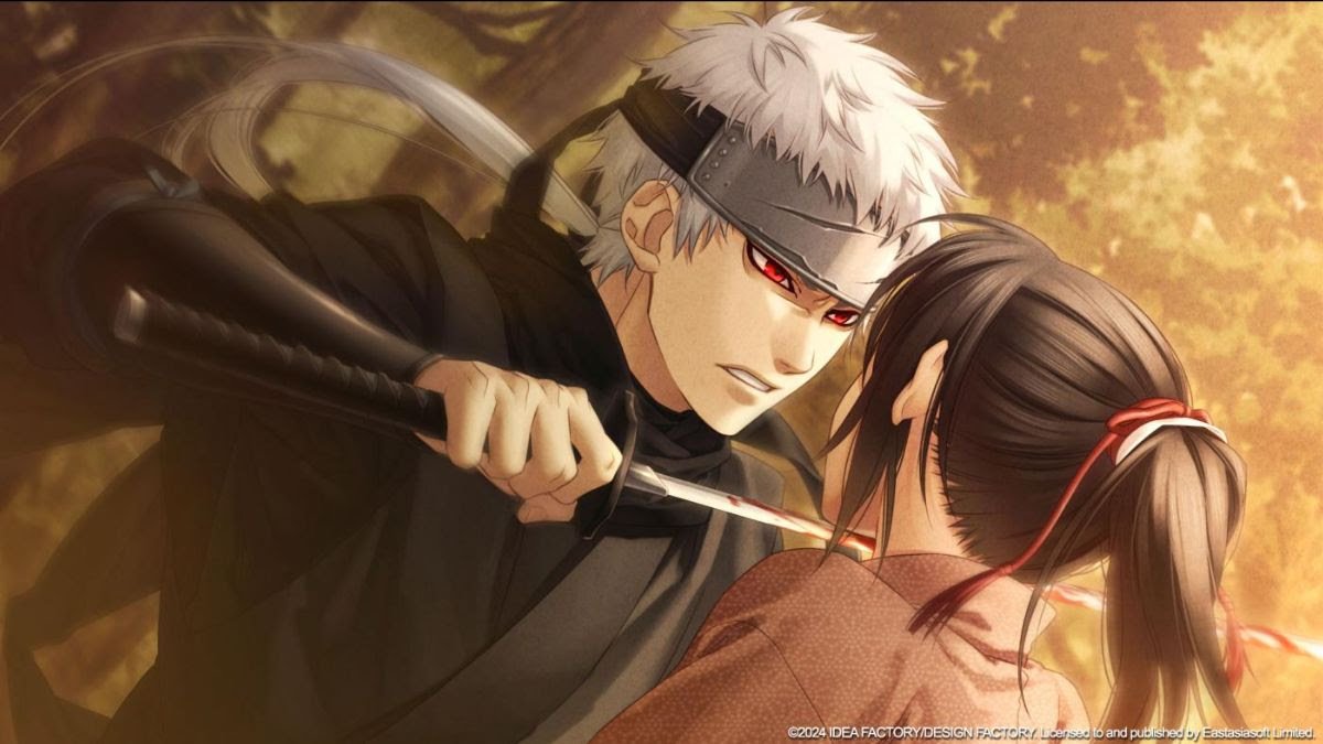 Hakuoki Chronicles of Wind and Blossom roman visuel