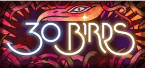 30 BIRDS