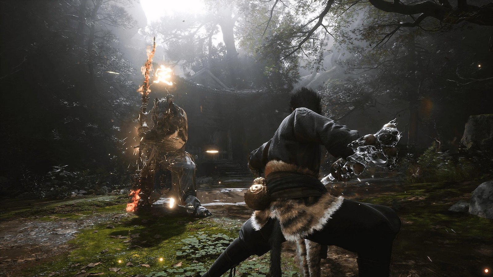 Black Myth Wukong (4)