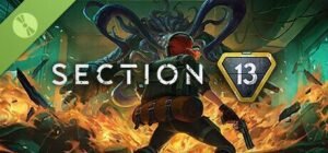 Section 13