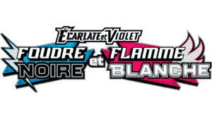 Pokémon Foudre Blanche Foudre Noire (1)