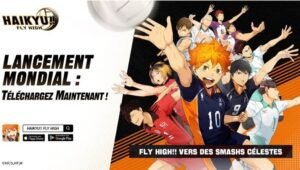 HAIKYU!! FLY HIGH