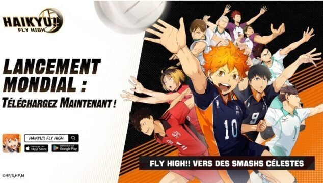 HAIKYU!! FLY HIGH