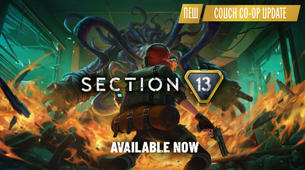 Section 13